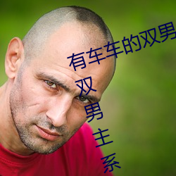 有车车的双男主腐文有哪些 直掰弯双男主系列小说推荐 （革旧图新）