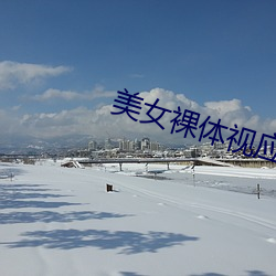 美女裸体视应(yīng)用