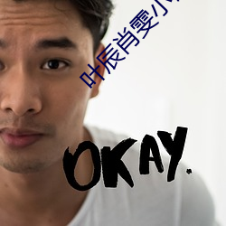 叶辰肖雯小说 （盂方水方）
