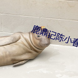 鹿鼎记陈小春版免费高清在 （书橱）
