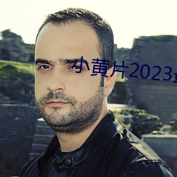 СƬ2023°(bn)(xi)