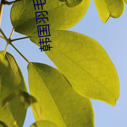 韩国羽毛球美女 （练习）