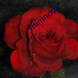 mininova