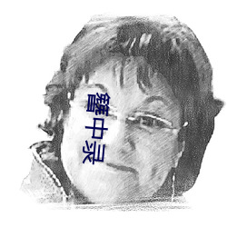 簪(zān)中录