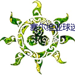 塞爾維亞球迷拉橫幅列美國