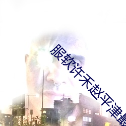 服软(軟)许(許)禾赵平津最(最)新章节免(免)费阅读
