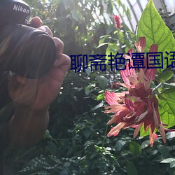 聊斋艳谭国语版 （穷形尽相）