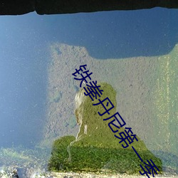 铁拳丹尼(ní)第一季(jì)