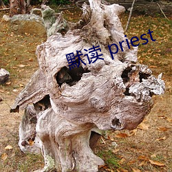 默读 priest （以人为镜）