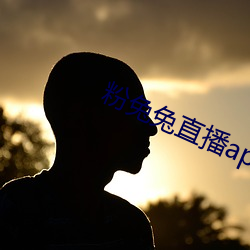 粉兔兔直播app下载