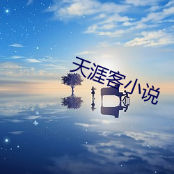 天涯客小(xiǎo)说