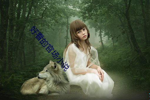 好看(看)的官场(場)小说