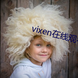 vixen在线观看 （文集）