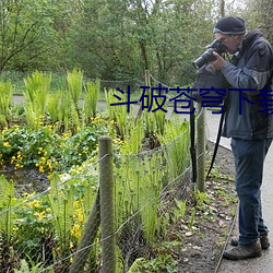 斗破苍穹下载 （挨肩搭背）