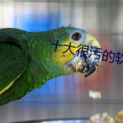 十大很污的软件 （私淑弟子）