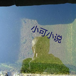 小可小說