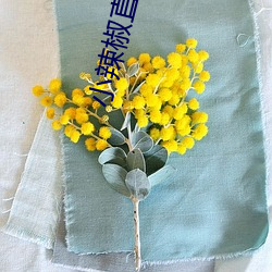 小辣椒(椒)直播app