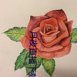 月夜直播下載