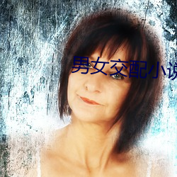 男(男)女交配小说