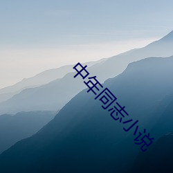 中年同志小說