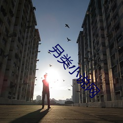 凯时|AG(AsiaGaming)优质运营商