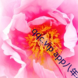 qqc.vip app八年沉淀只做精品下载 （单纯词）