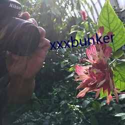 xxxbunker ʵУ