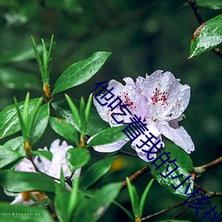 他吃着(zhe)我(wǒ)的小核(hé)桃