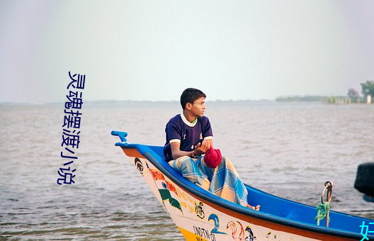 靈魂擺渡小說