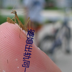 婆媳(媳)出轨同(同)一(一)人