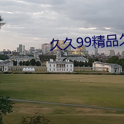 久久99精品久久久久久 （轧辊）