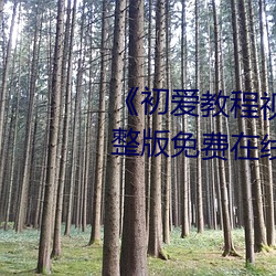 《初爱教程视频教程在线看》完整版免费在线观看