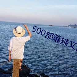 500部篇辣文目录护士22
