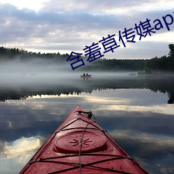 含羞草传媒app下载免费