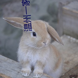 温州一家人电视剧免费观(guān)看