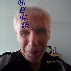 楚乔传全集