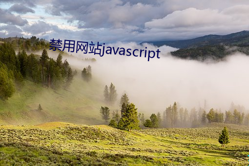 禁用网(網)站javascript