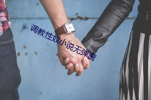 調教性奴小說無彈窗