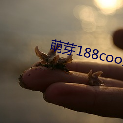 萌芽188coo免费入口(口)