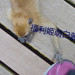 福利姬萌白酱甜(甜)味弥漫(漫)第(第)一(一)美女图