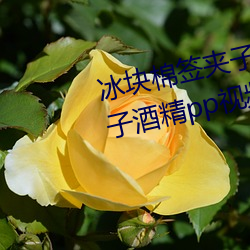 冰塊棉簽夾子怎麽玩(冰塊棉簽夾子酒精pp視頻在線觀看)