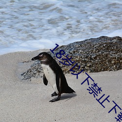 金年会 | 诚信至上金字招牌
