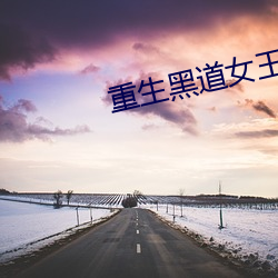 重生黑道女王