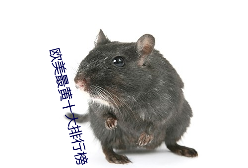 欧美最黄十大排行榜