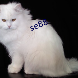 se88 （燕侣莺俦）