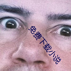 免费下载(zài)小(xiǎo)说