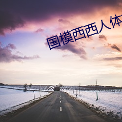 国(guó)模西(xī)西人体模(mó)特艺术