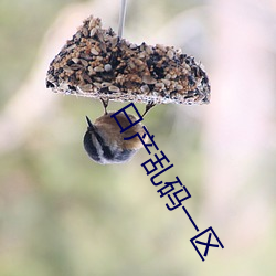日产乱码一区