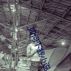 如何下载小说 （光耀）
