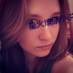 星火燎原小说